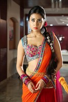 Shriya Spicy Photos in Pavithra